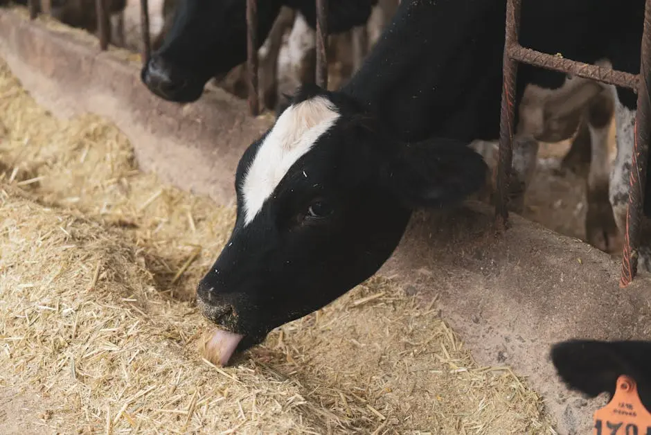 10 Ways Cattle Genetics Can Revolutionize Your Herd Management