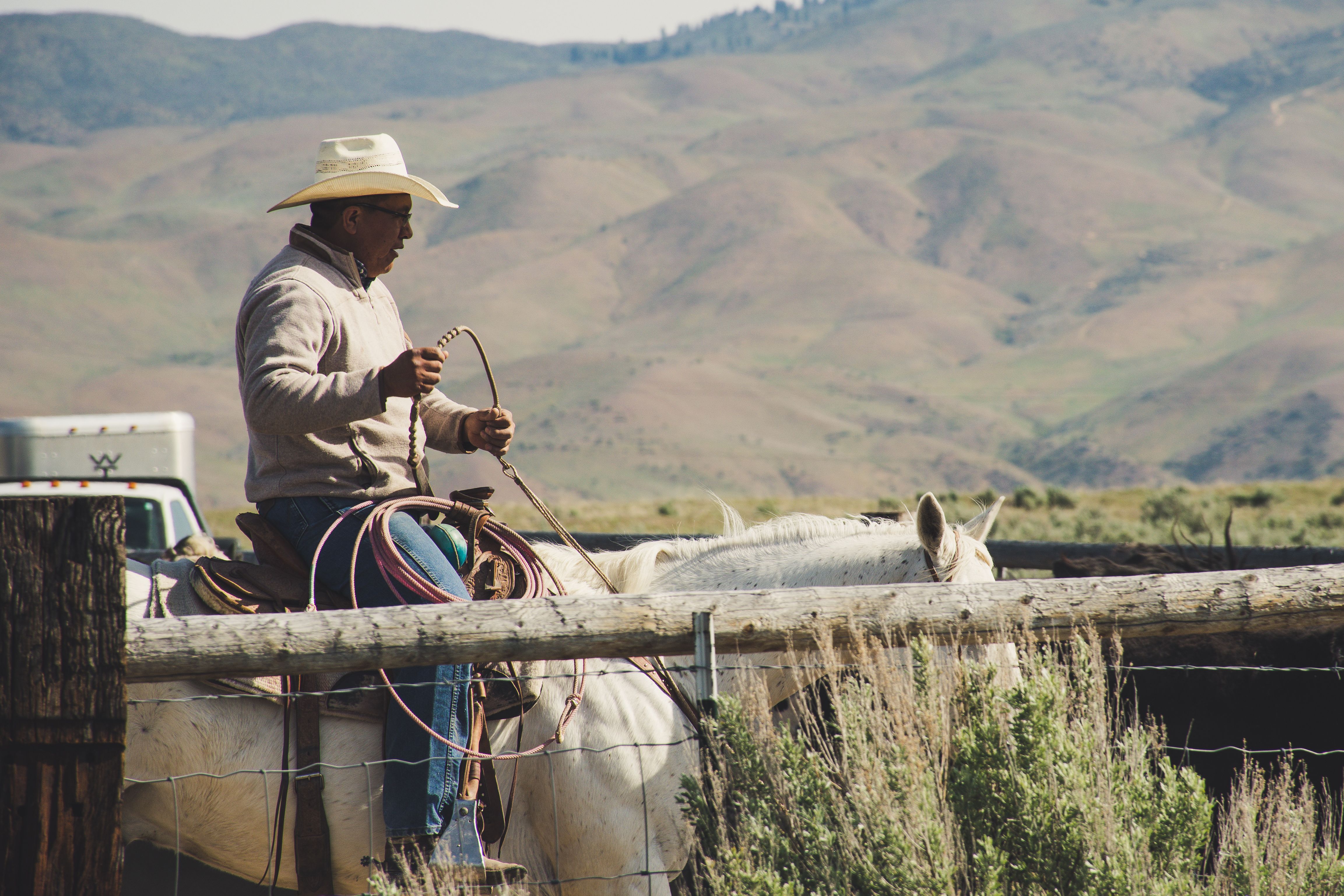 How Data-Driven Genetics Are Transforming Modern Herd Management
