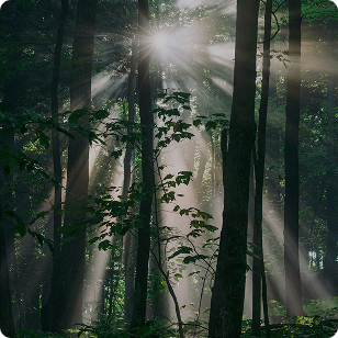 Contact us today to schedule a consultation and start your journey to wellness.