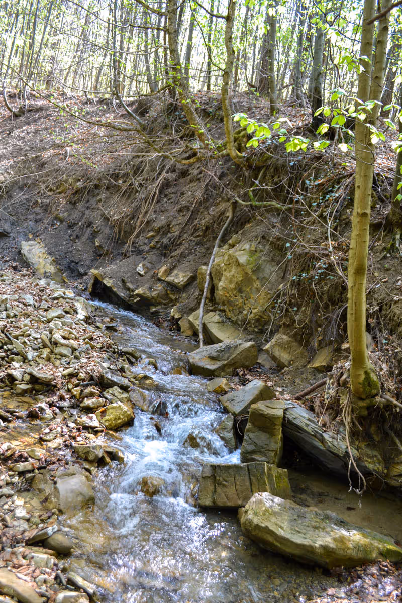 údolí Černého potoka 