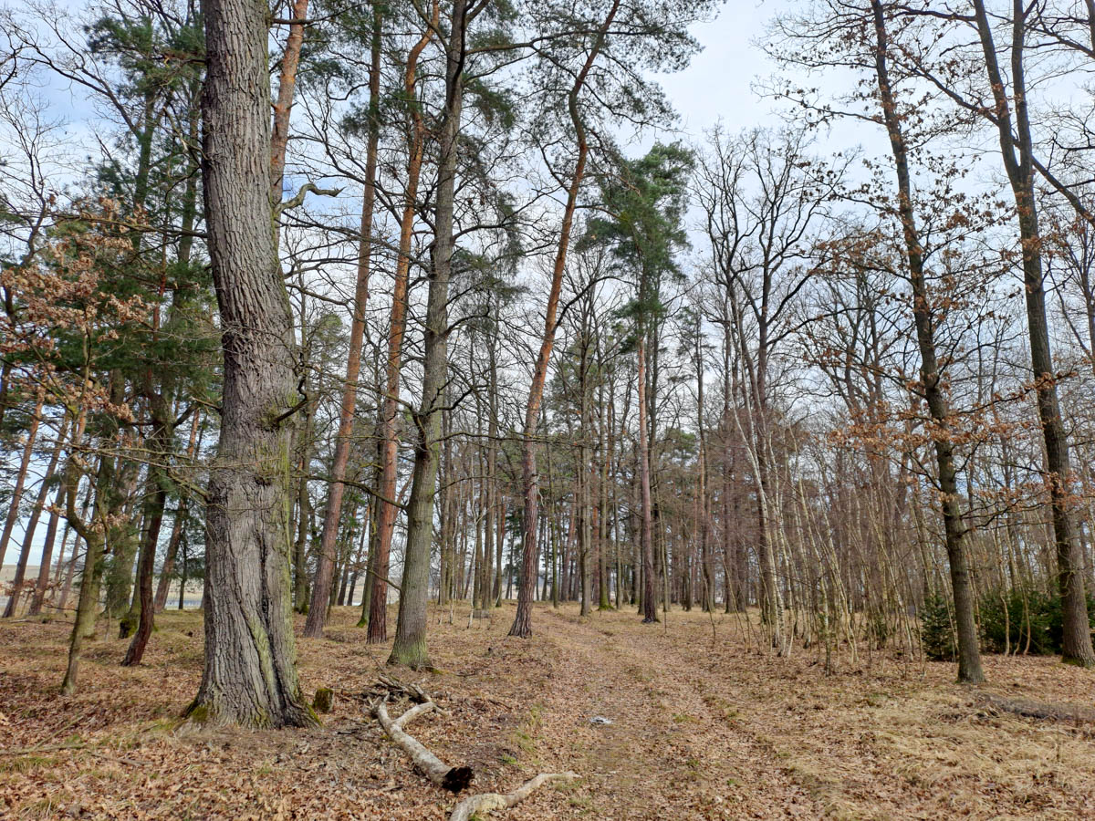 ptačí oblast Dehtář 