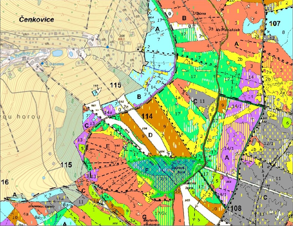 lesnická porostní mapa se zákresem hranic ostrova