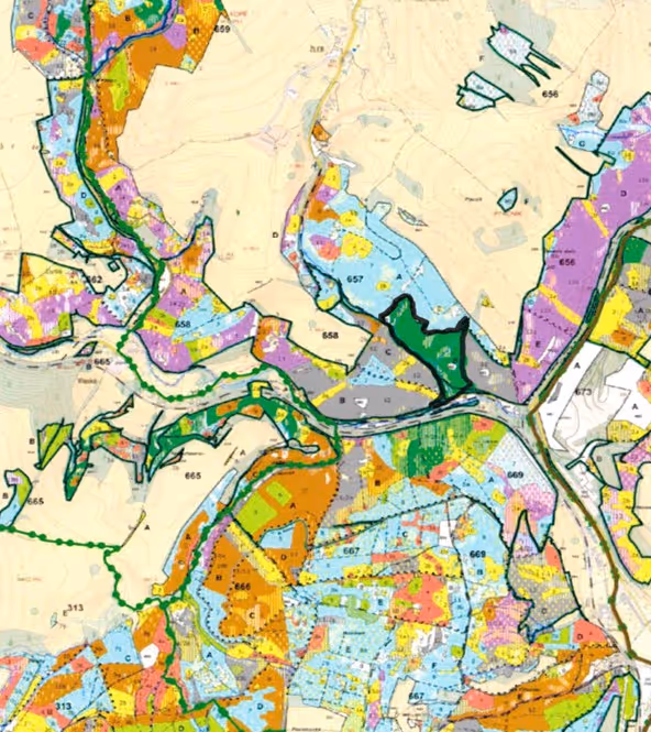 porostní lesnická mapa LHC Králíky Revír Vlaské se zákresem hranic ostrova
