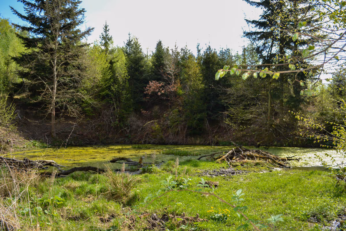 Opatovice – niva potoka U školky