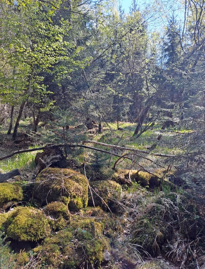mozaika mokřadních a rašelinných luk, suchých smilkových trávníků, mokřadních vrb a podmáčených smrčin