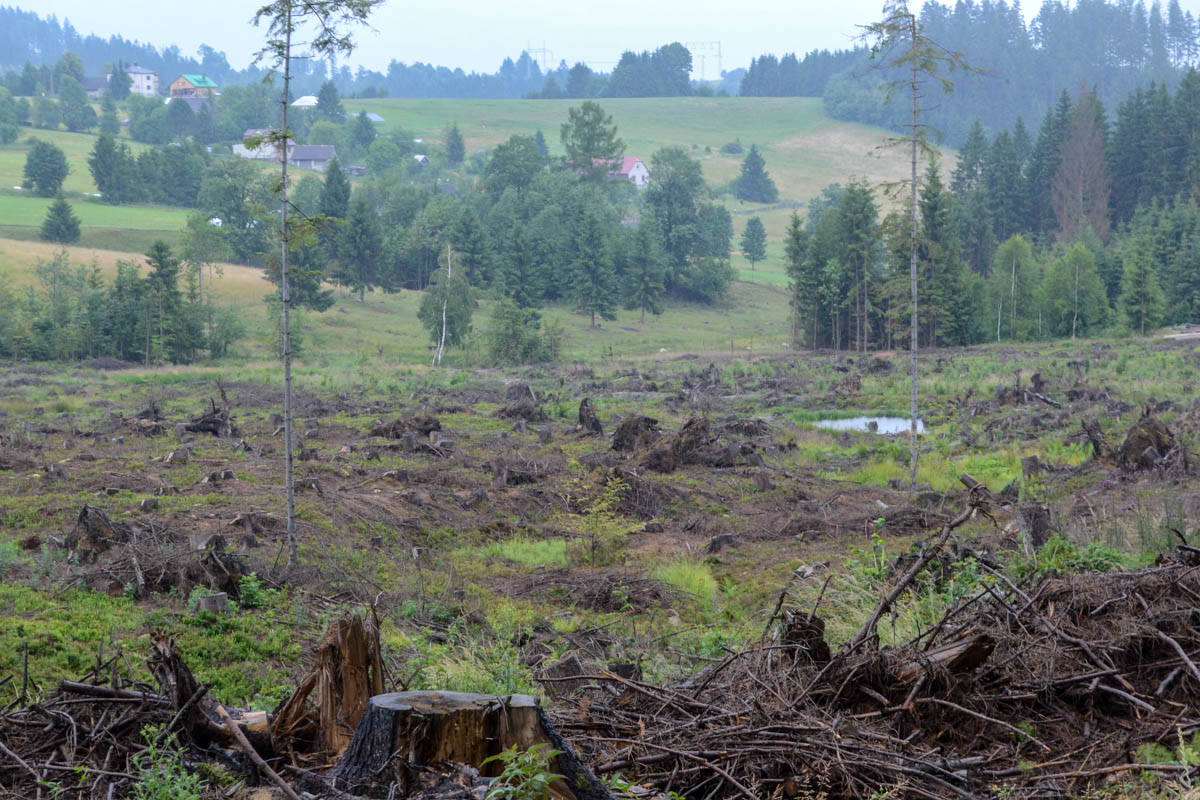 Motyčonka – Žihly