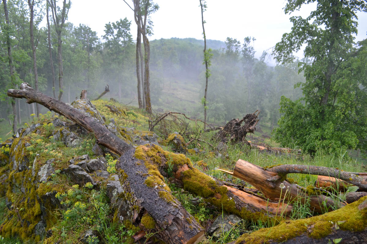 Bělýšov – U Pytláka