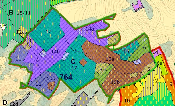 porostní mapa se zákresem hranic ostrova (LHP pro LHC Děčín 2025 – 2034)