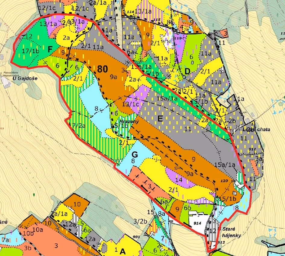 Porostní mapa se zákresem hranic ostrova (LHP pro LHC Rumburk 2016 – 2025)
