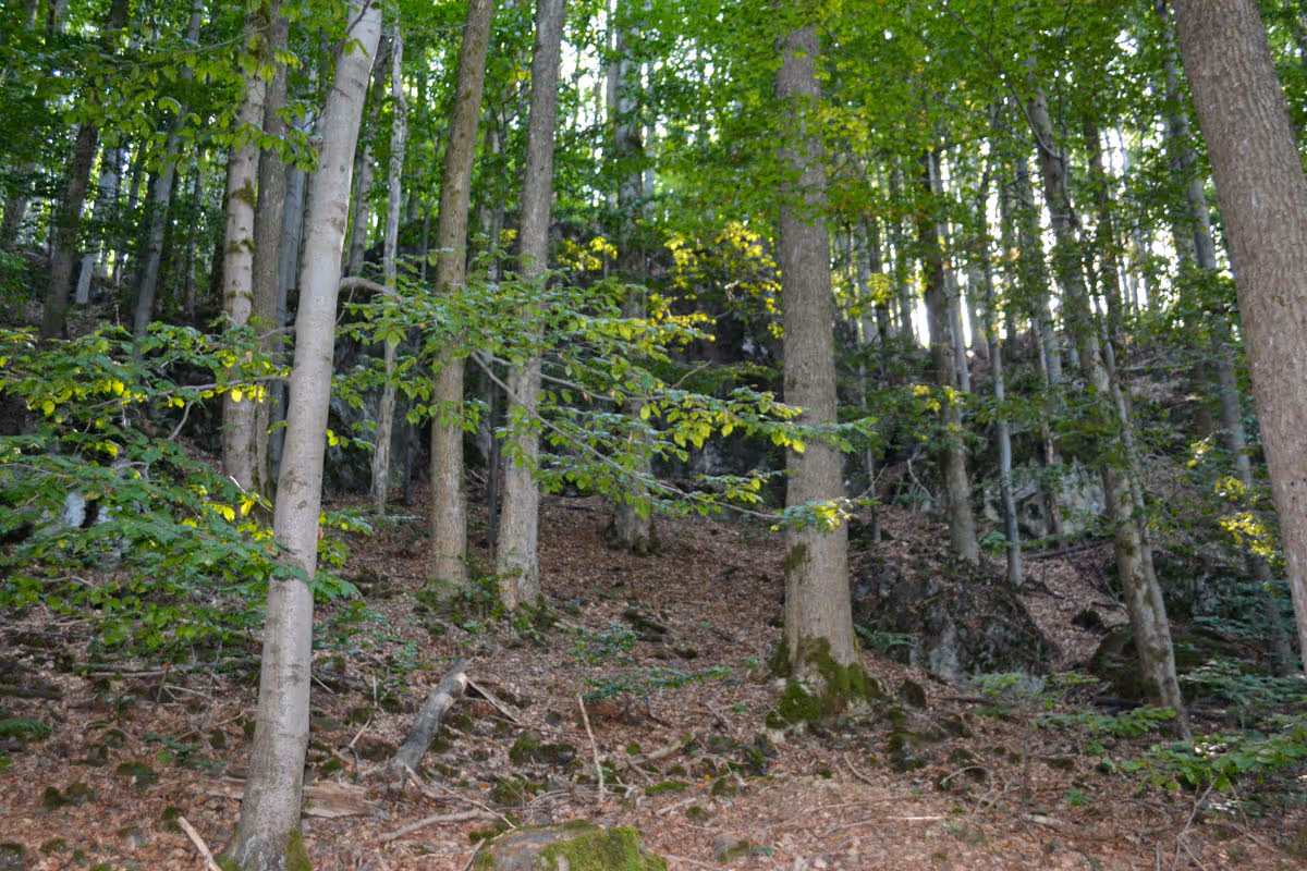 kamenité severní svahy