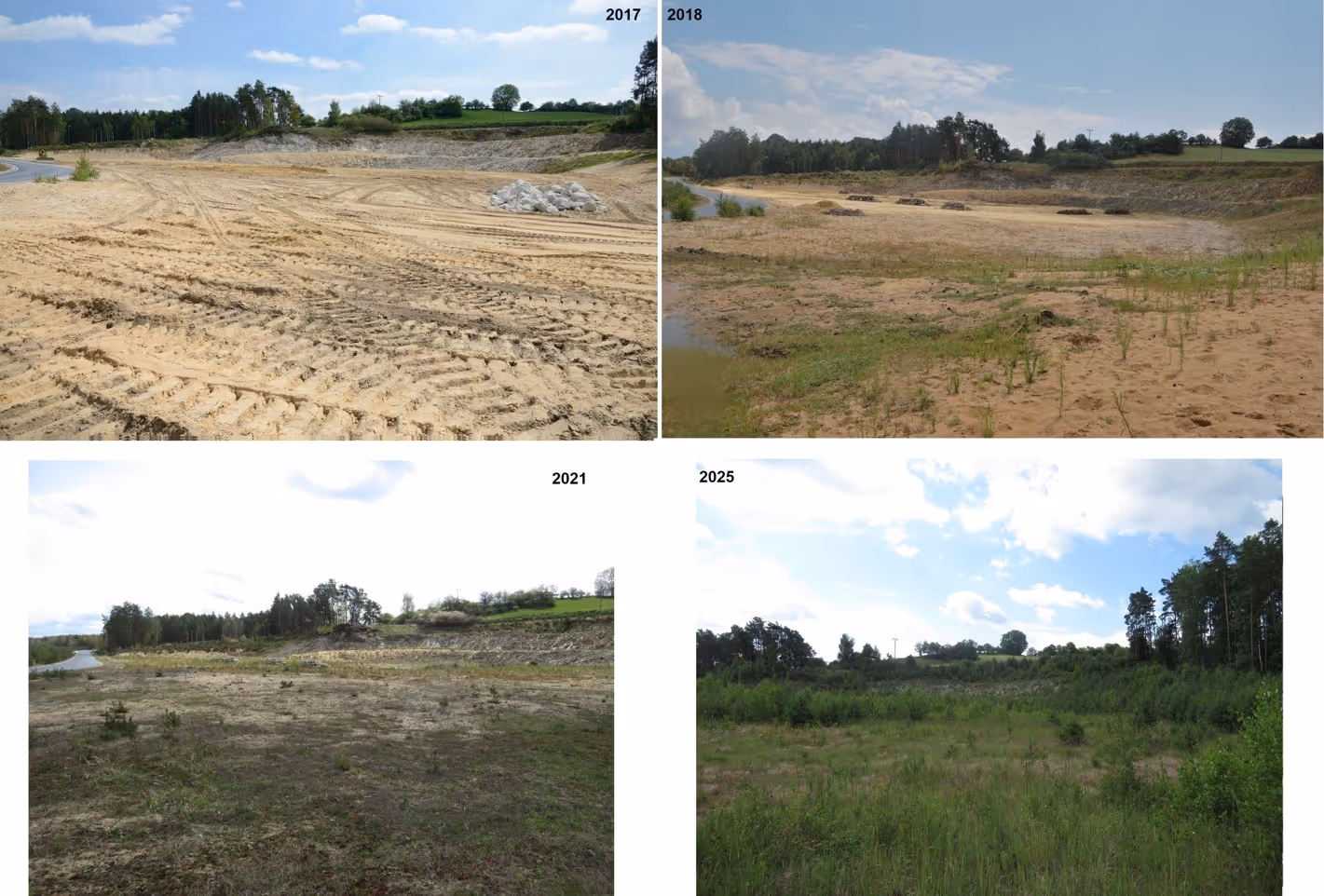 srovnání vývoje lokality s technickou rekultivací (autor Ing. Slávek Valda)