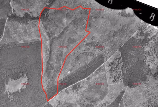 letecký snímek z roku 1938 s rozsáhlými holinami po mniškové kalamitě
