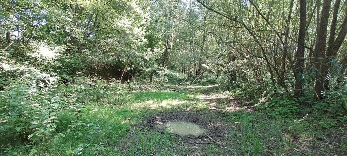 prohlubeň s vysychající vodou