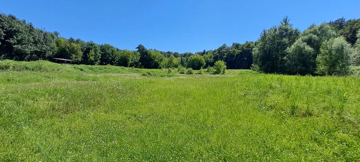 pohled na bezlesou část lokality ve střední části.