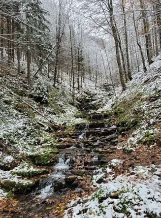 zájem ochrany přírody (bezzásahový režim)