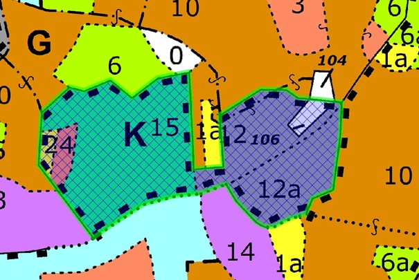 porostní mapa se zákresem hranic ostrova (LHP pro LHC Ještěd 2023 – 2032)