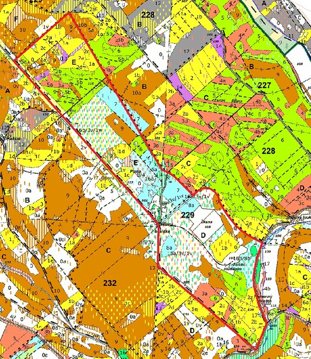 porostní mapa se zákresem hranic ostrova (LHP pro LHC Klokočka 2022 – 2031)