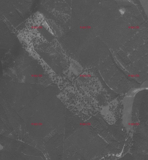 letecký snímek lokality z roku 1953 s rozvolněným pastevním lesem