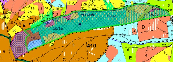 porostní lesnická mapa LHC Vsetín se zákresem hranic ostrova přírody