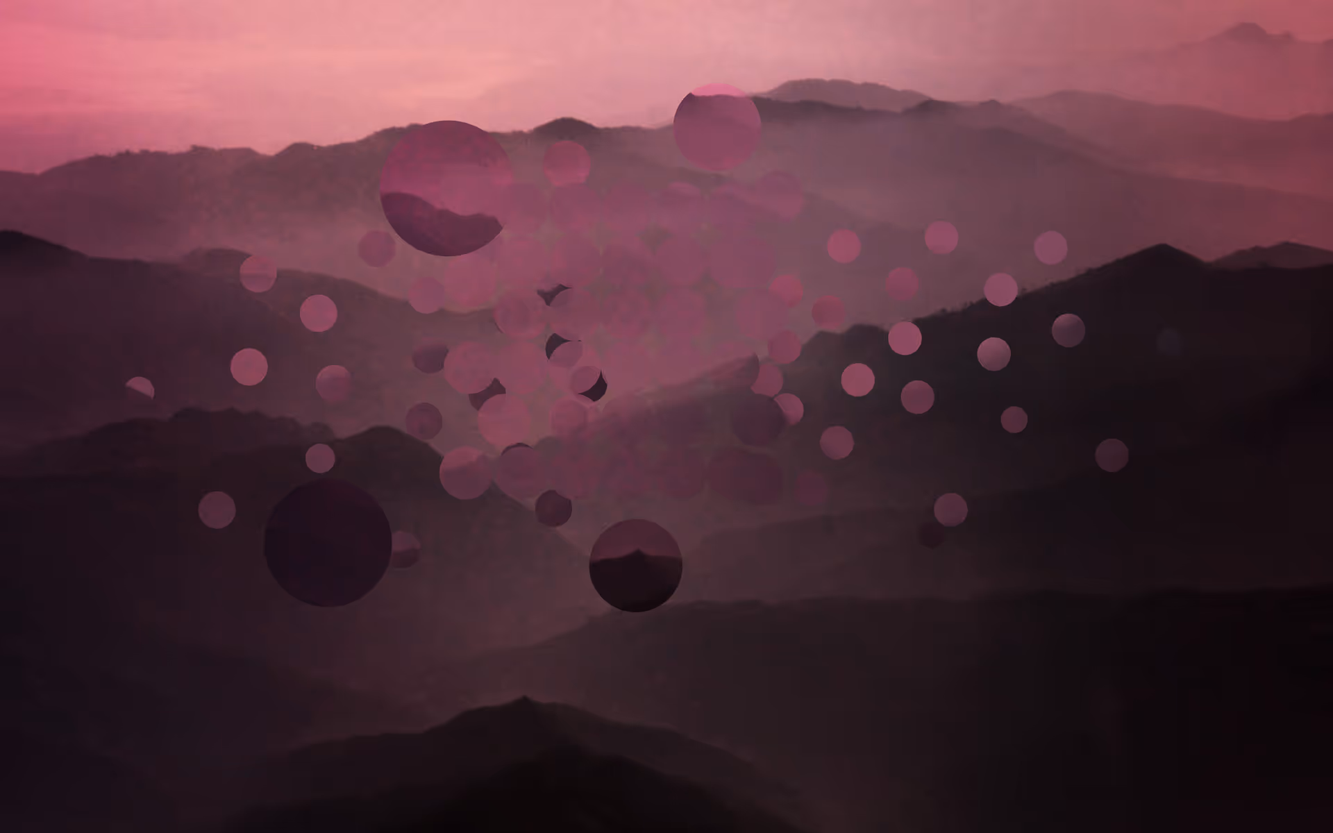 Bo Tsang DiMatteo Design Brands Hero