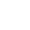 white x icon