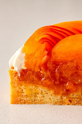 Apricot Tartelette