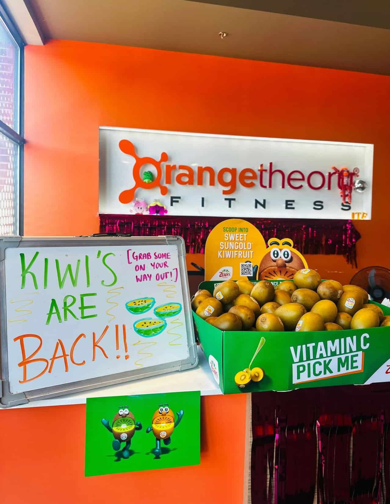 zespri kiwi samples booth