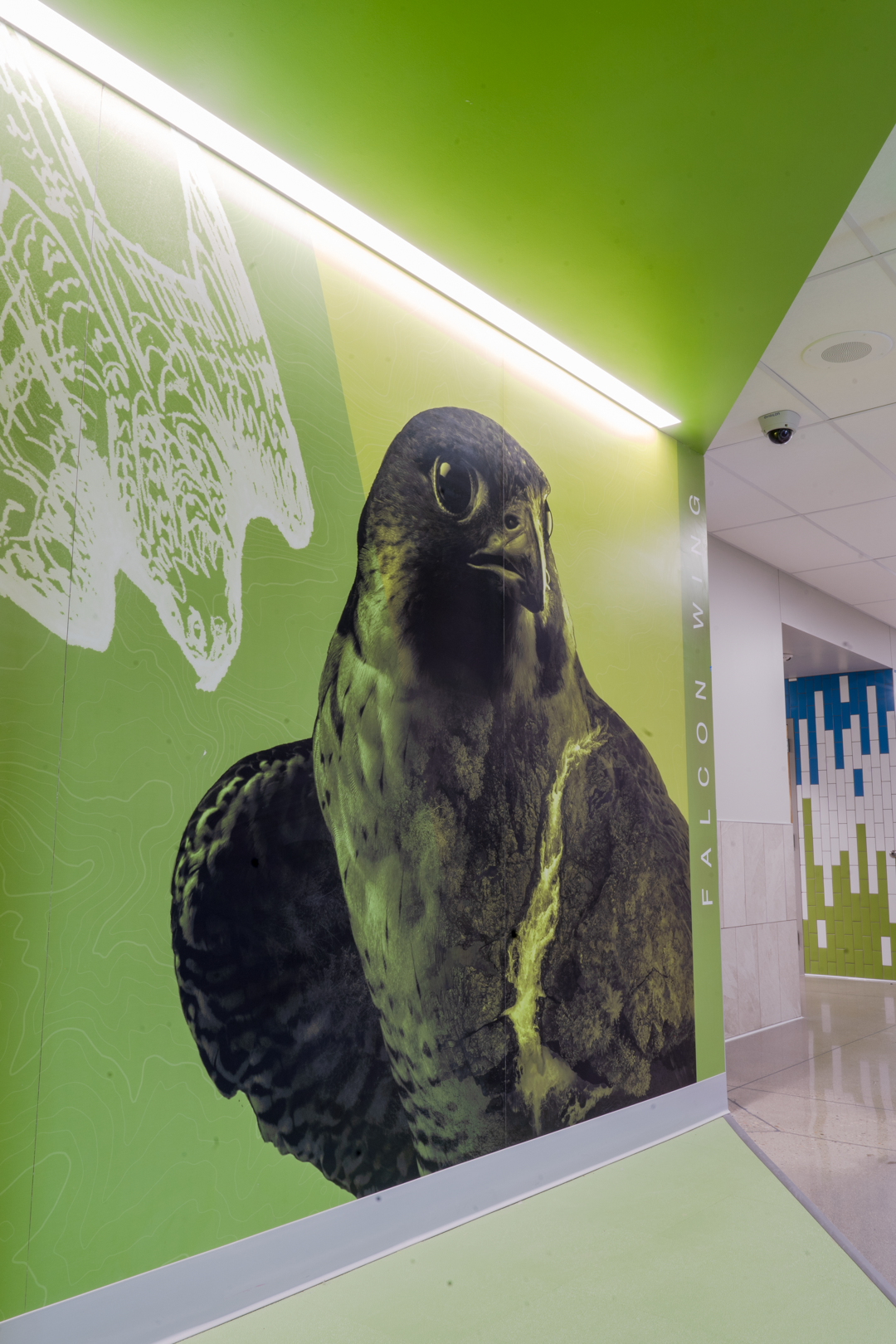 Environmental Graphics