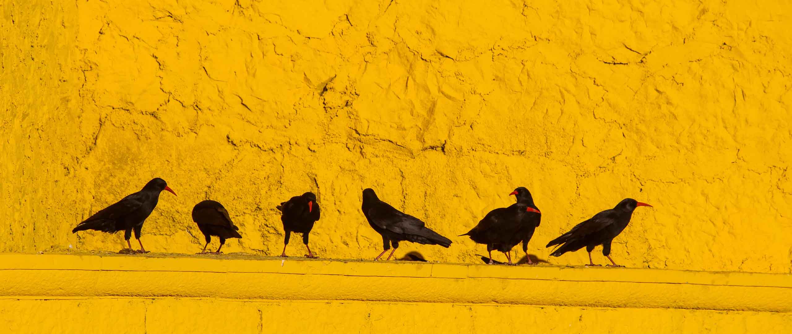 A Guide to Collective Investment Trusts: Lower Fees for Retirement Savings