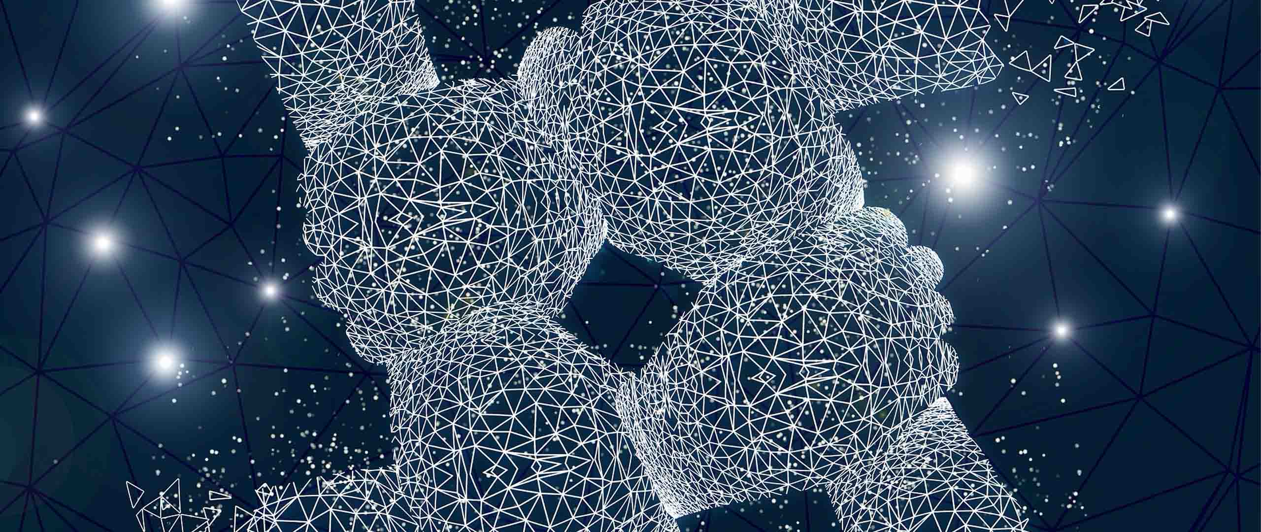 What Is a Family Limited Partnership? An Essential Guide