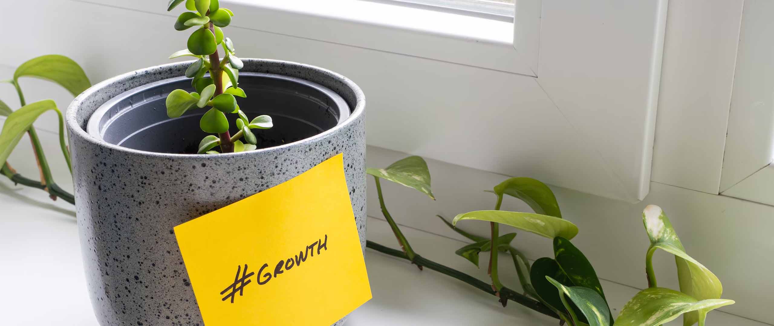 A Guide to Growth in Stocks