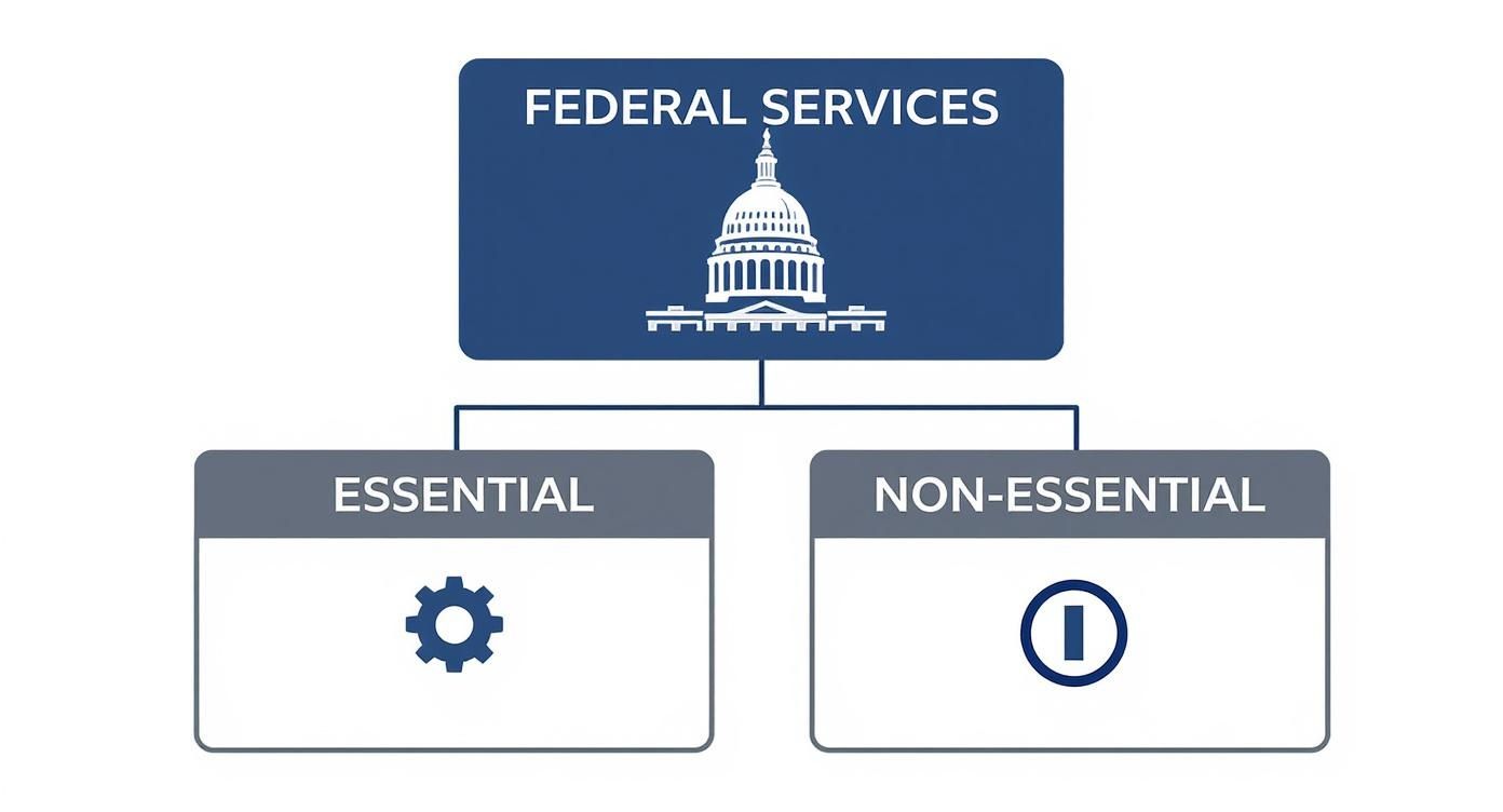 Infographic about what is affected by a government shutdown