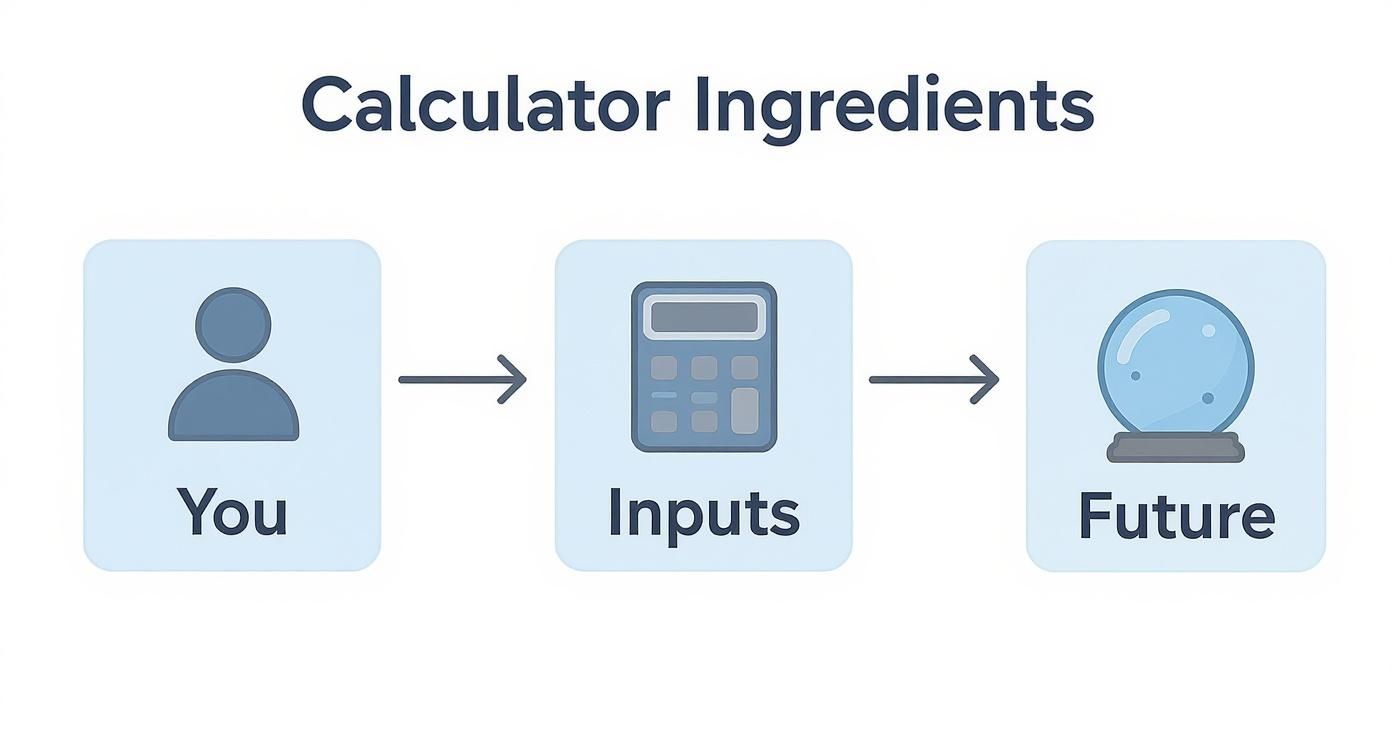 Infographic about roth conversion calculator