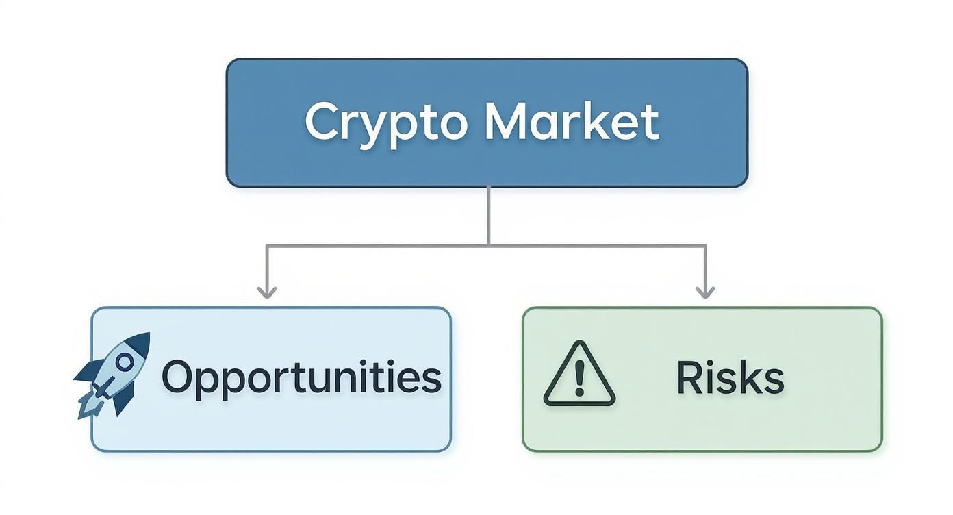 Infographic about cryptocurrency