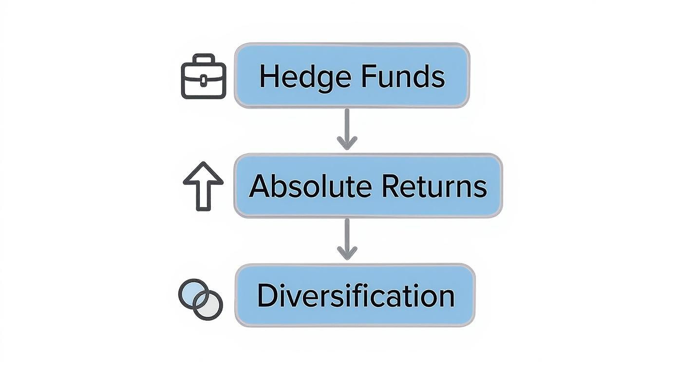 Infographic about hedge fund investment strategies