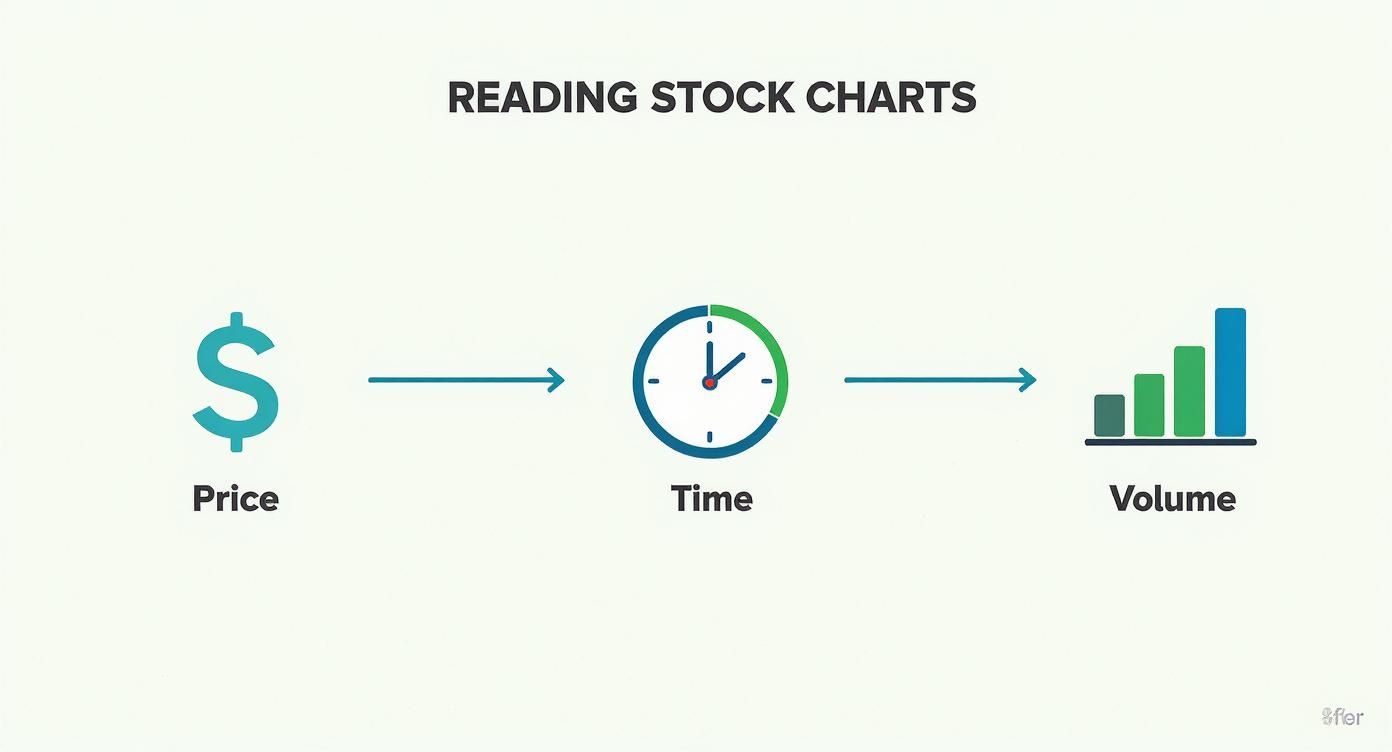 Infographic about how to read stock charts