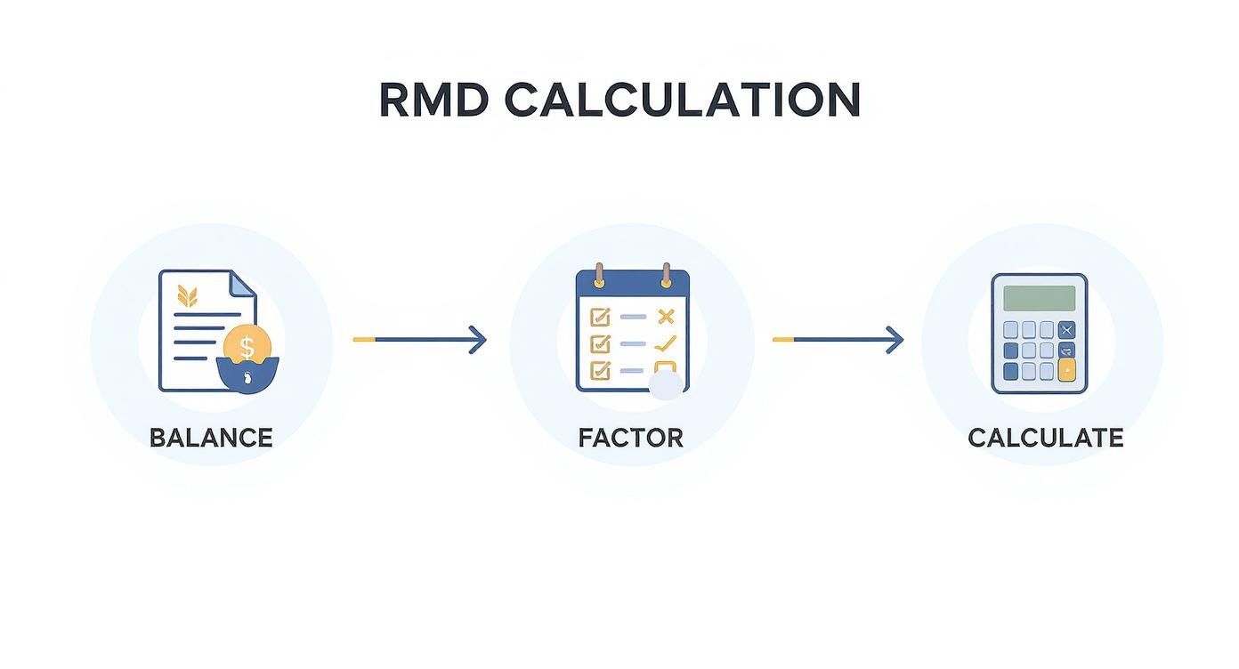 Flowchart illustrating the RMD calculation process: balance, factor, and calculate steps.