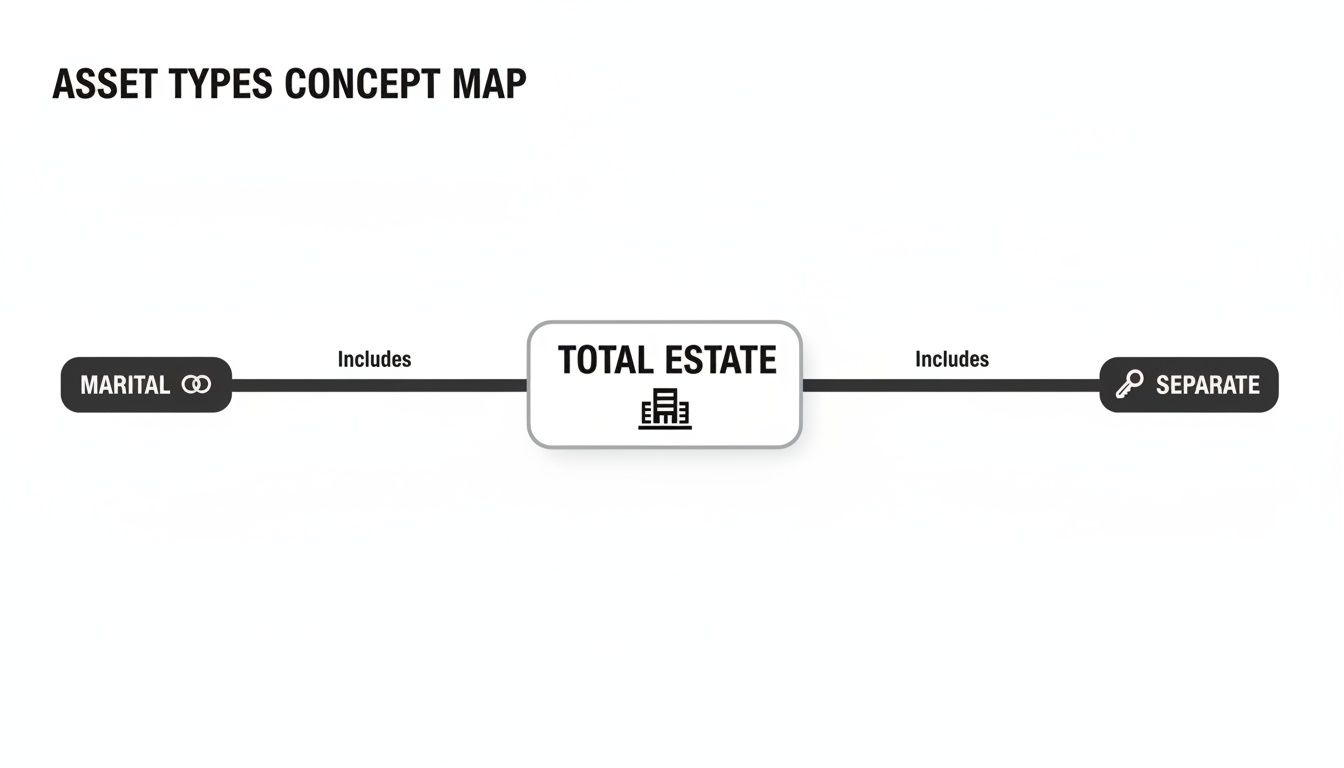 A concept map illustrating total estate asset types, including marital and separate assets.