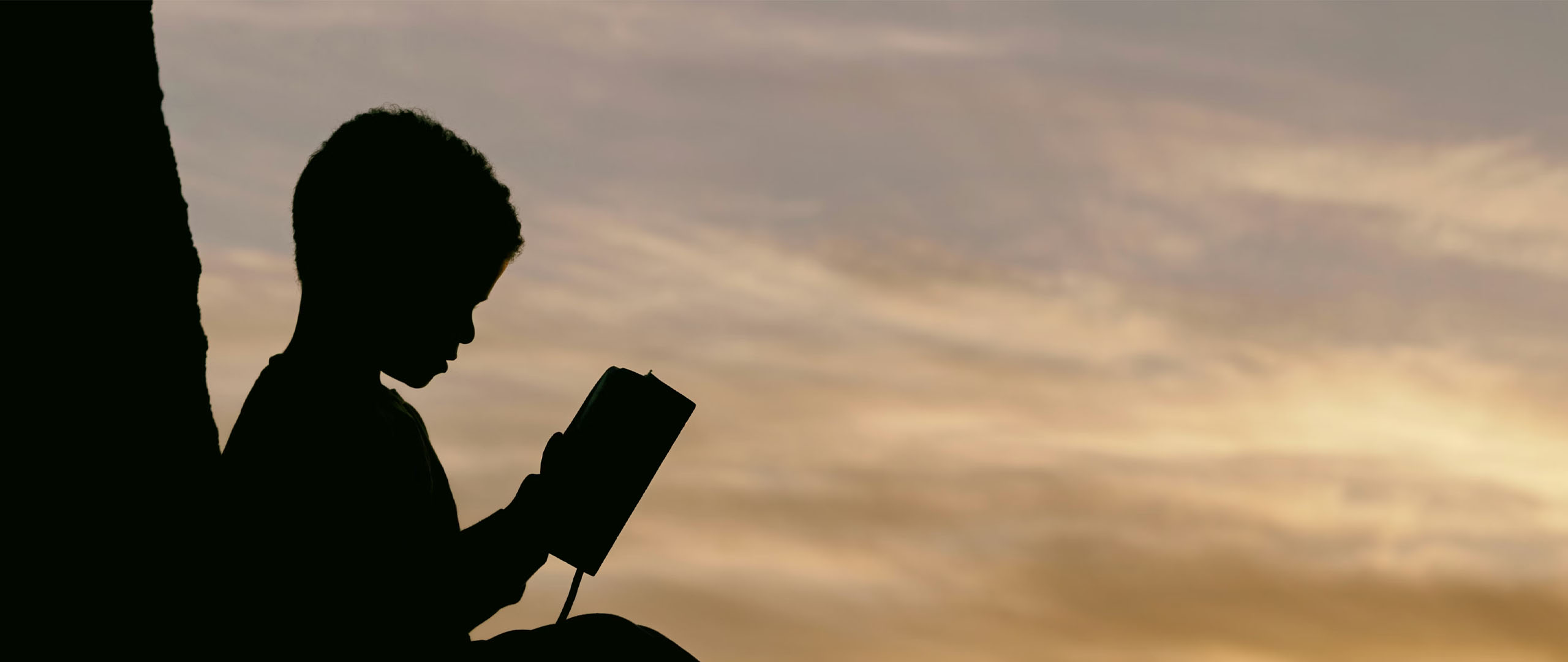 The 7 Best Places to Find the Best Books for Investing for Beginners in 2026