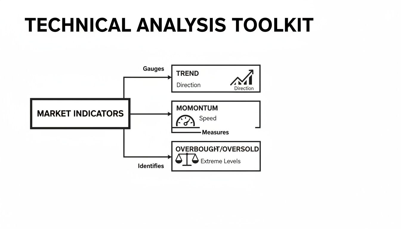 A diagram of a technical analysis toolkit showing market indicators for trend, momentum, and extreme levels.