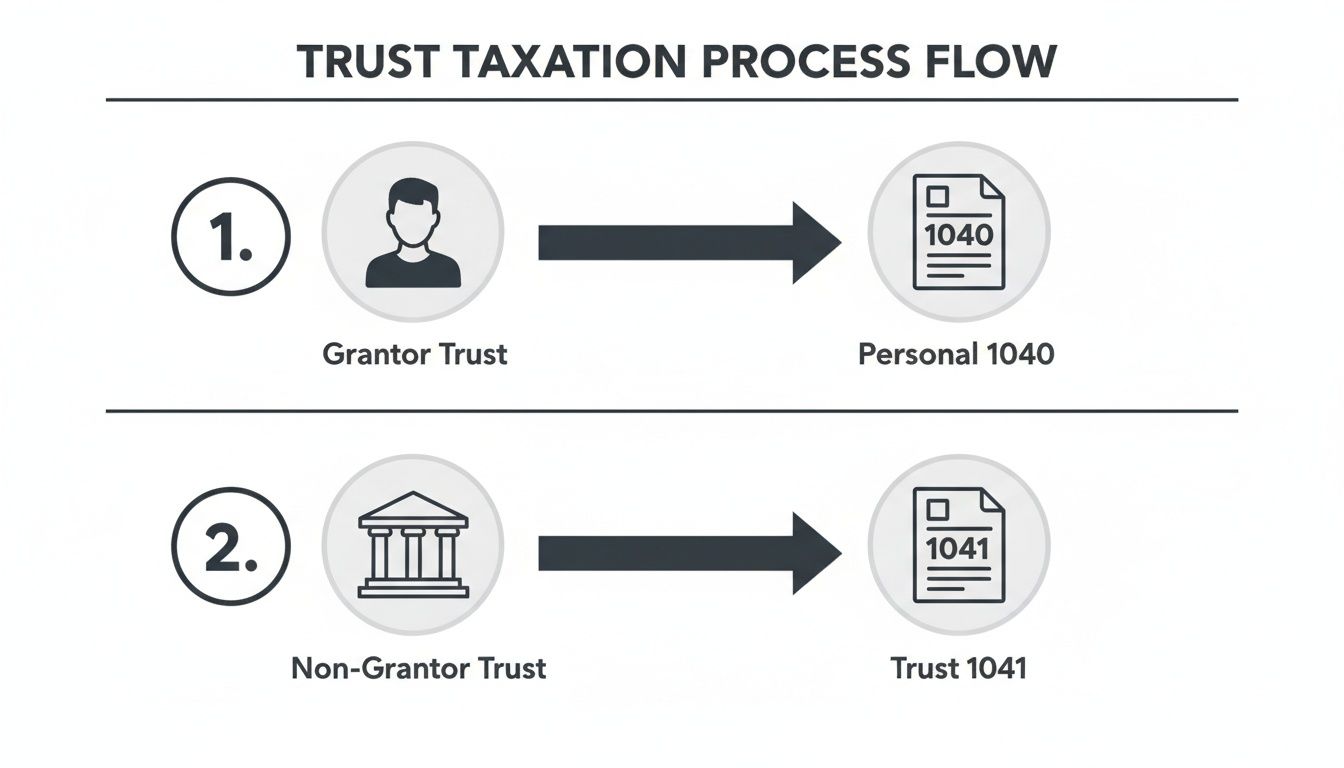 Flowchart illustrating trust taxation: grantor trusts file Personal 1040, non-grantor trusts file Trust 1041.