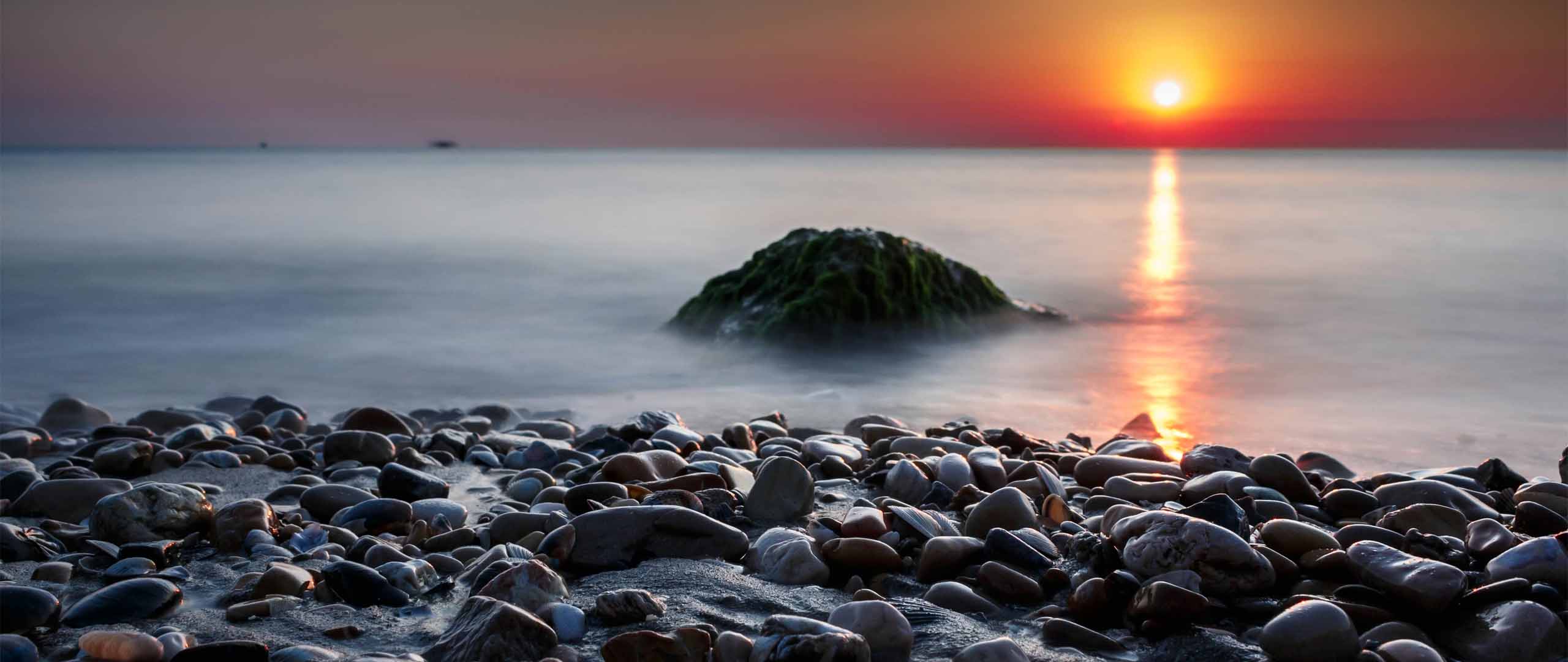 Pension Lump Sum Or Annuity: Which Is Right For You?