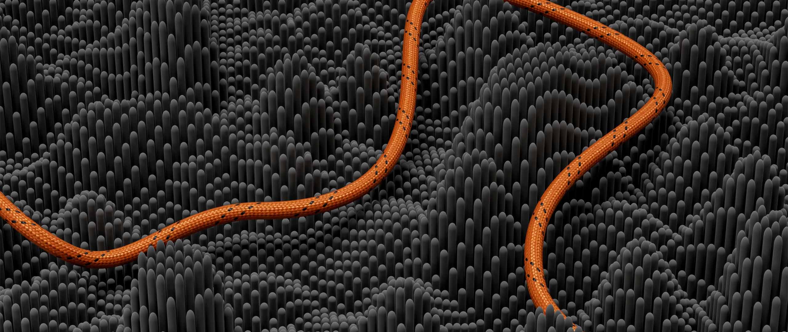 A Guide to High-Net-Worth Financial Planning