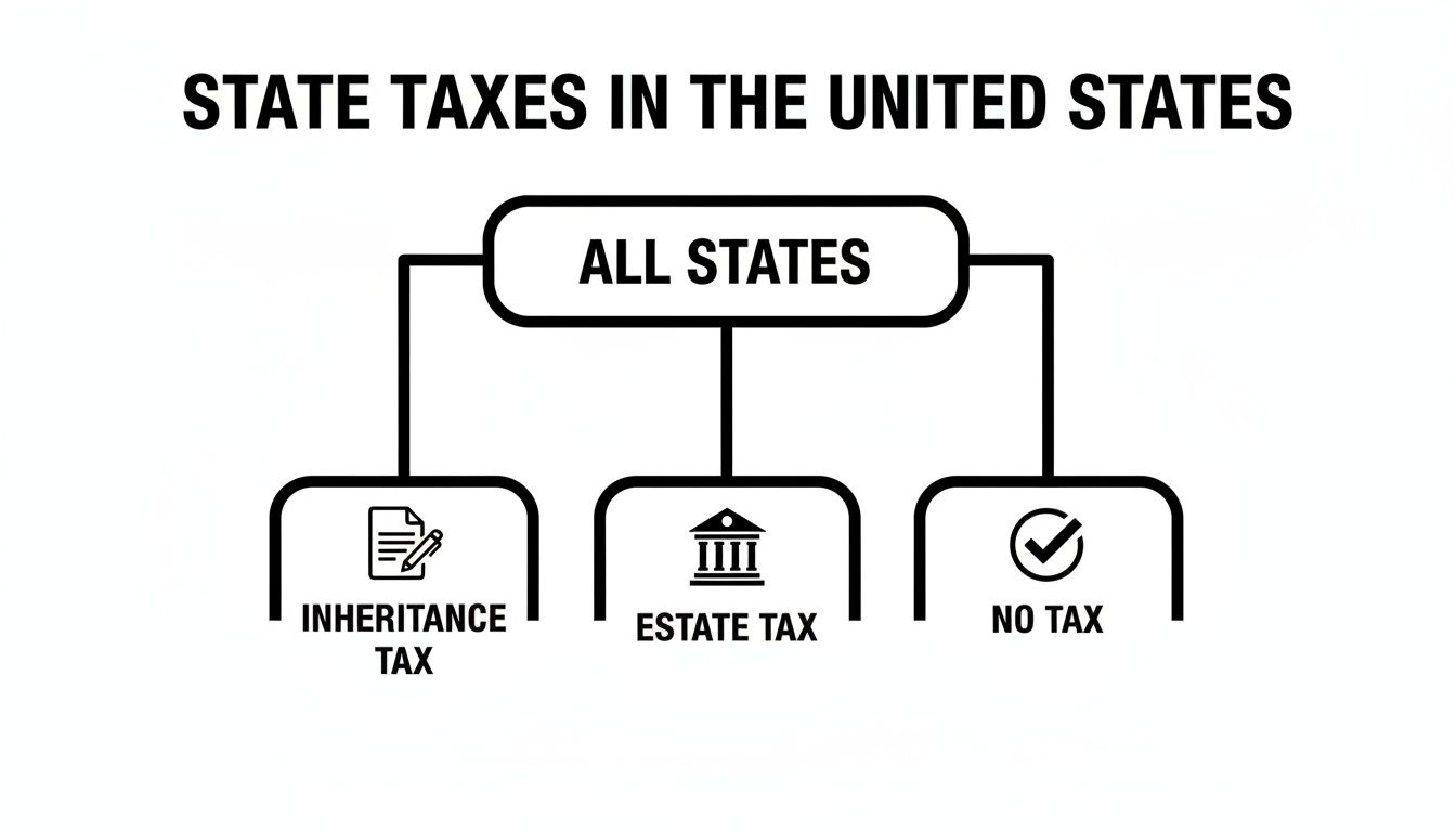 Flowchart illustrating state taxes in the United States, categorized by inheritance, estate, or no tax.