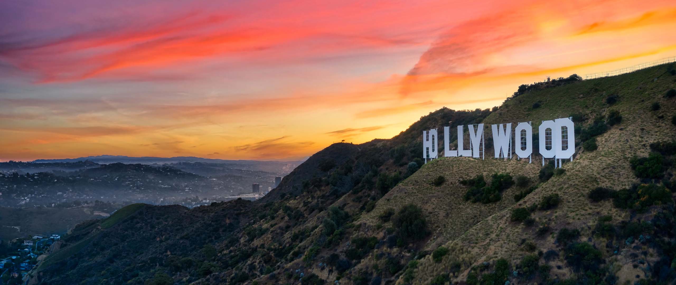 Wealth Manager for Entertainers and Celebrities: A Guide to Long-Term Wealth