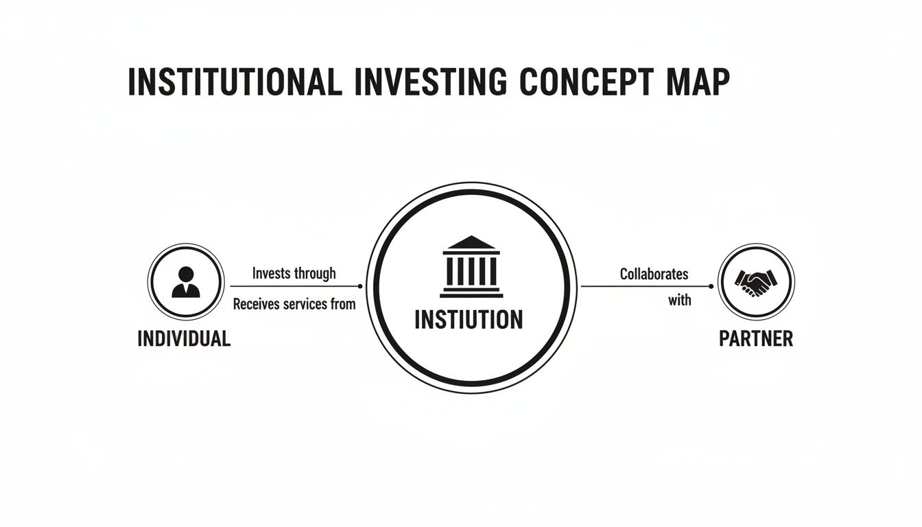 Institutional investing concept map detailing relationships between individuals, institutions, and partners.
