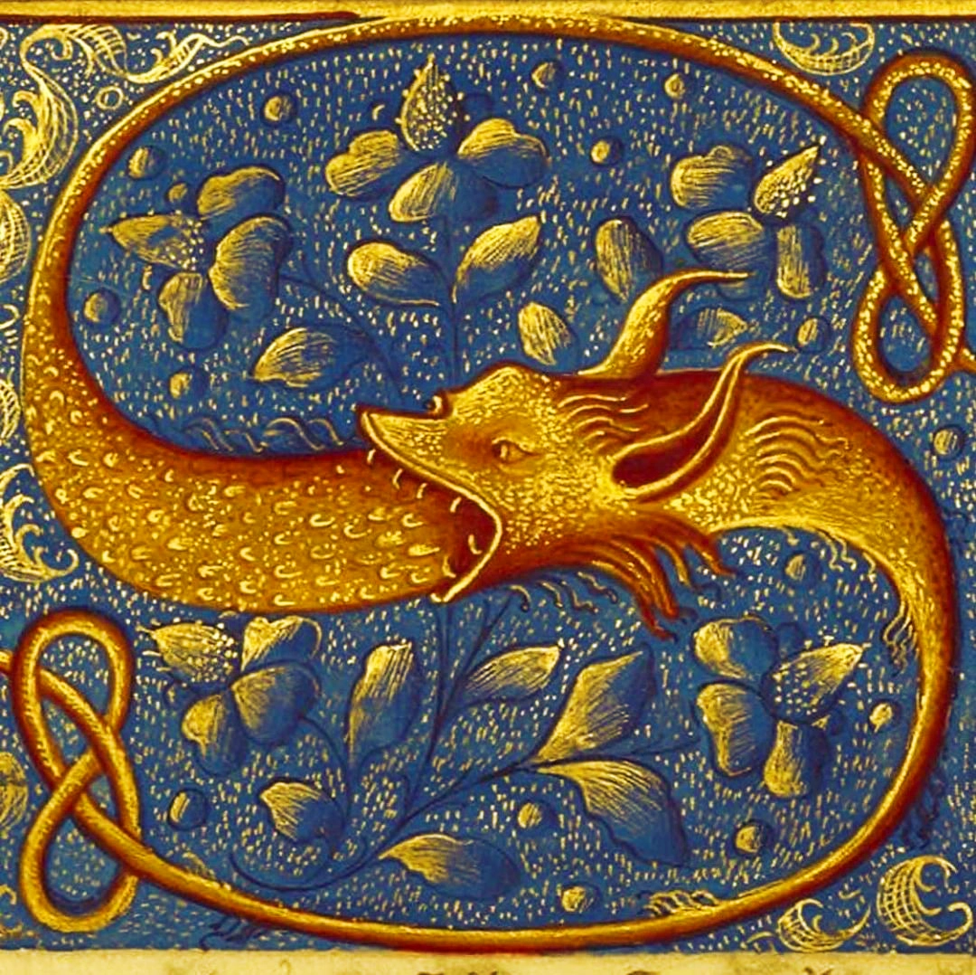 An illuminated S made by a dragon eating itself.