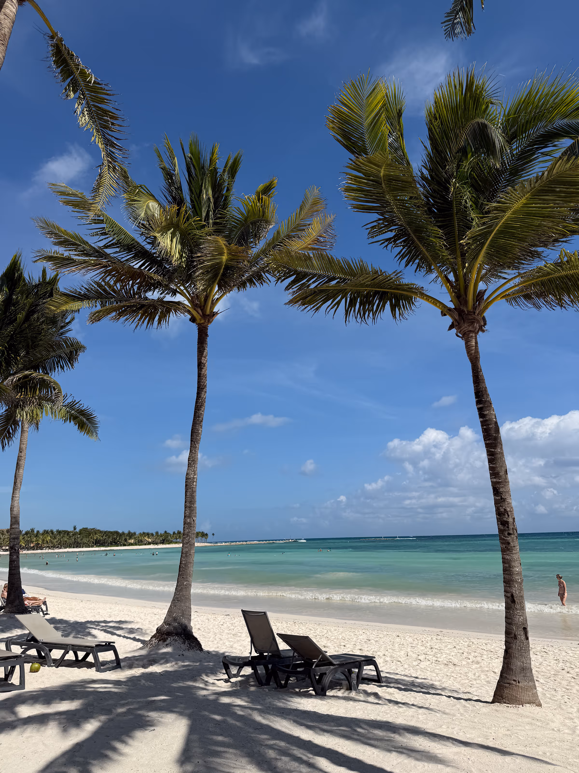 Empty beach chairs under palm trees on a sandy beach by turquoise ocean and blue sky at Barcelo Maya Grand all-inclusive resort in Mexico.