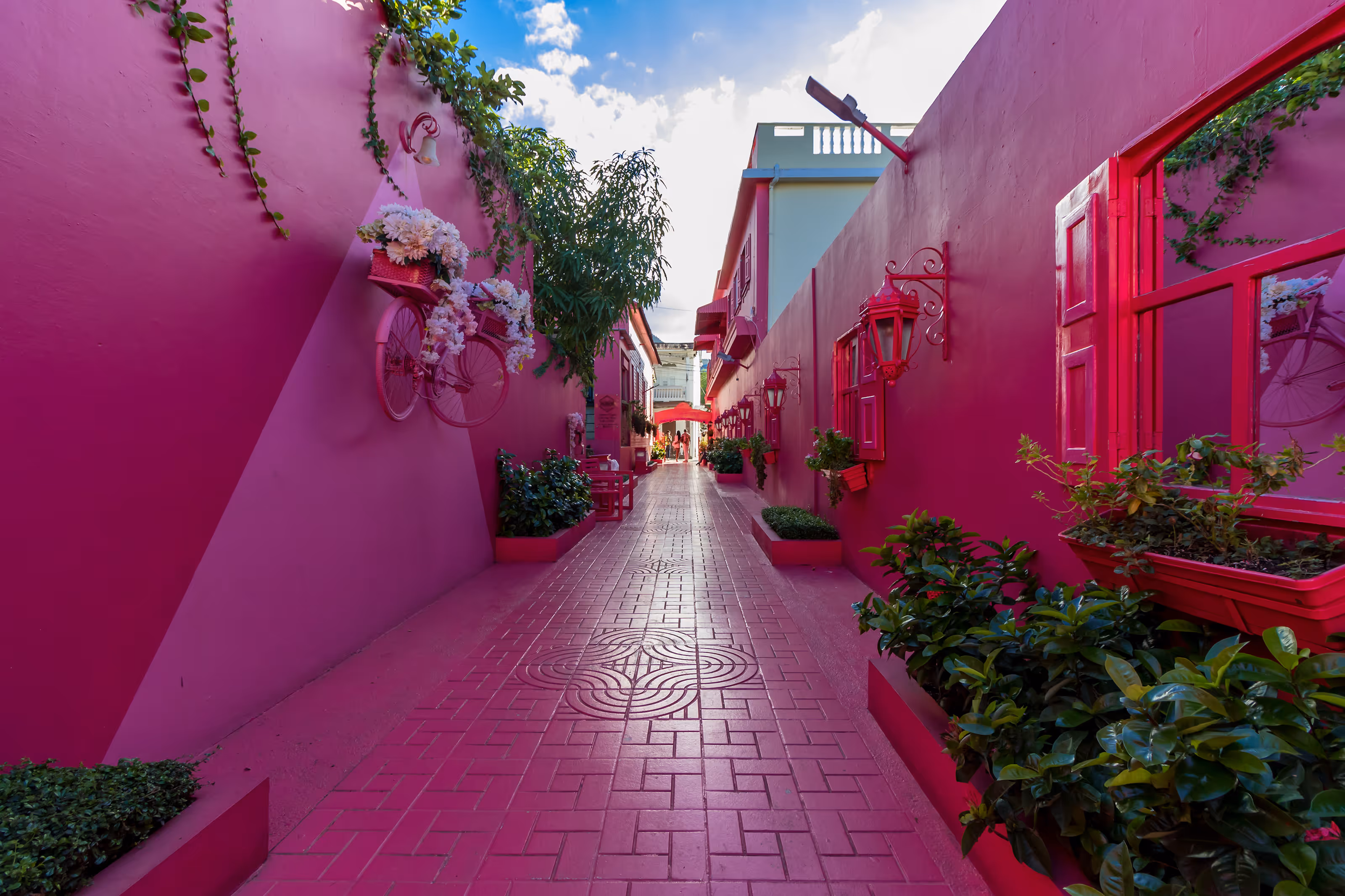 Narrow street in Puerto Plata with vibrant pink walls, plants, and decorative pink bicycle on wall.
