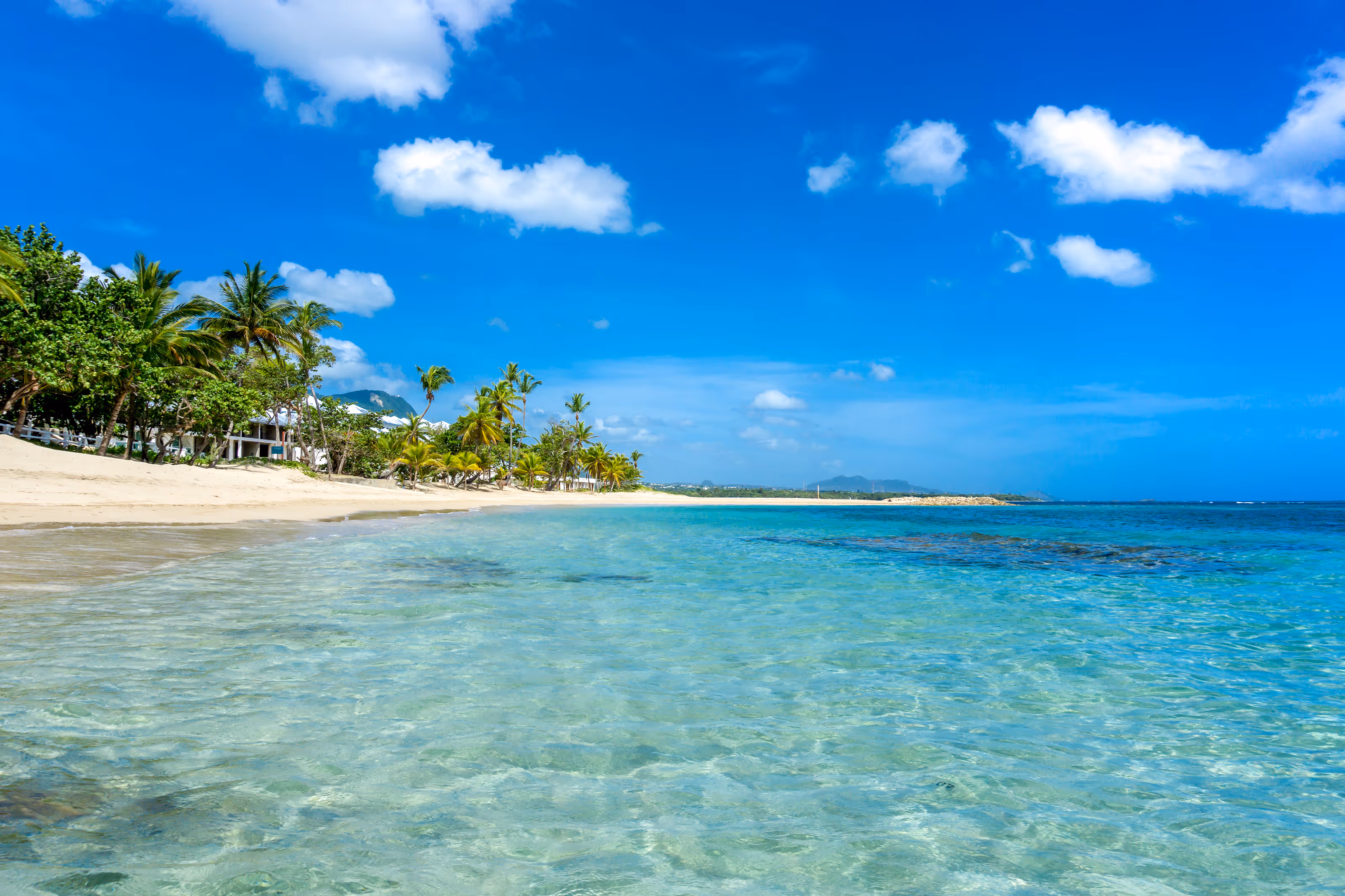Clear turquoise ocean water meeting sandy beach lined with palm trees under a bright blue sky at a Puerto Plata destination wedding.